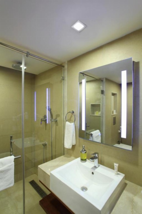 Hotel Abu Palace’ image 16