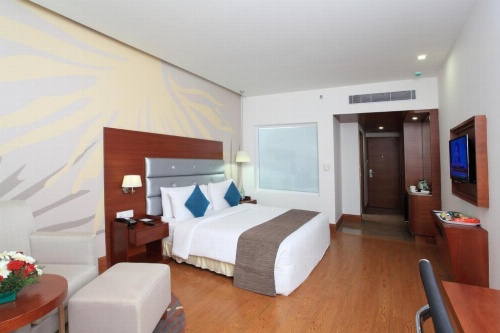 Hotel Abu Palace’ image 18