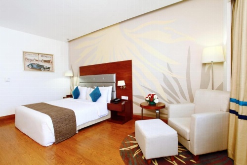 Hotel Abu Palace’ image 19