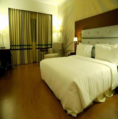 Hotel Abu Palace’ image 21