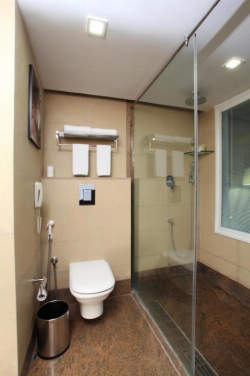 Hotel Abu Palace’ image 23