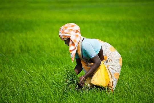 Tour image 1