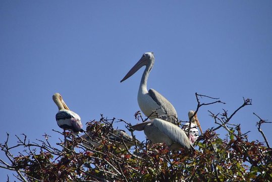 Tour image 7
