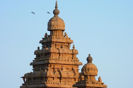 Tour image 8
