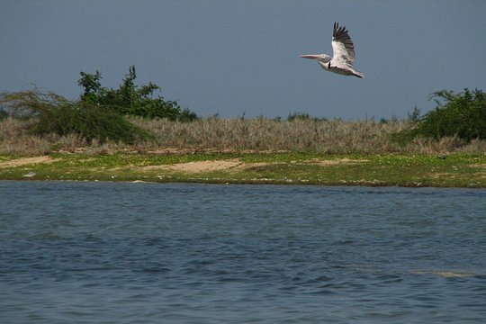 Tour image 5