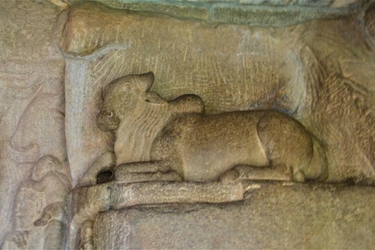 Tour image 12