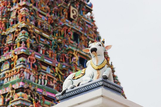 Tour image 6